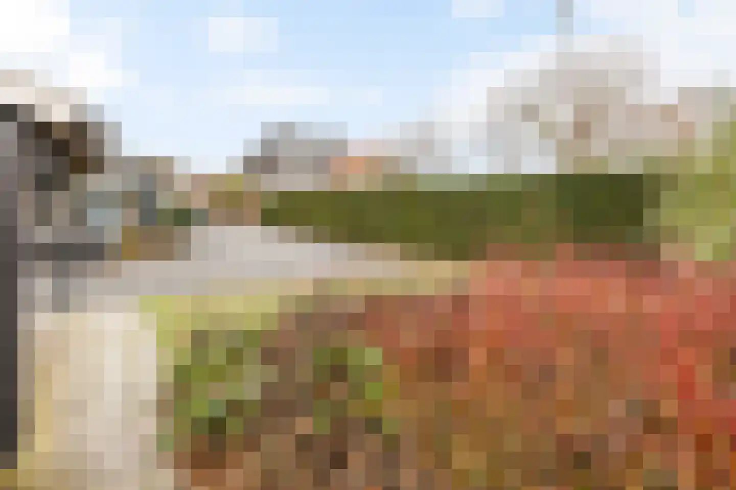 Bosstraat 17 Echt thumbnail 39