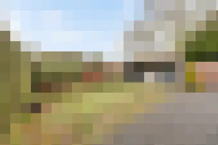 Bosstraat 17 Echt thumbnail 40