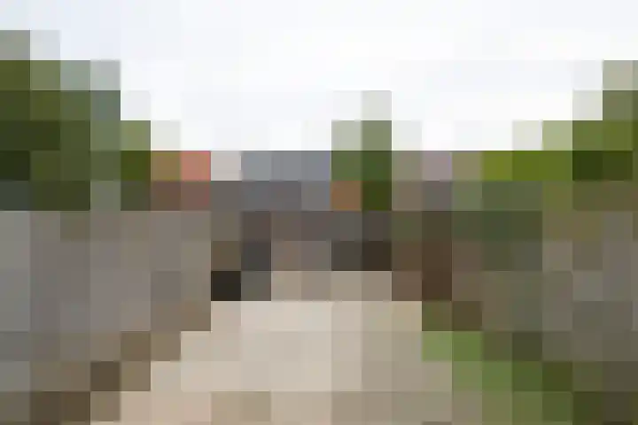 Bosstraat 18 A Doetinchem thumbnail 33