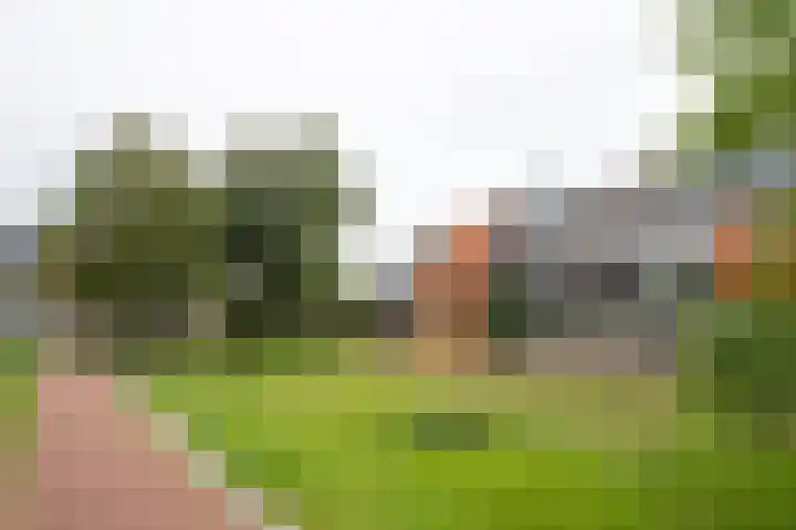 Bosstraat 18 A Doetinchem thumbnail 42