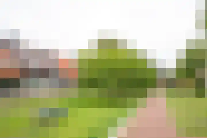 Bosstraat 18 A Doetinchem thumbnail 44