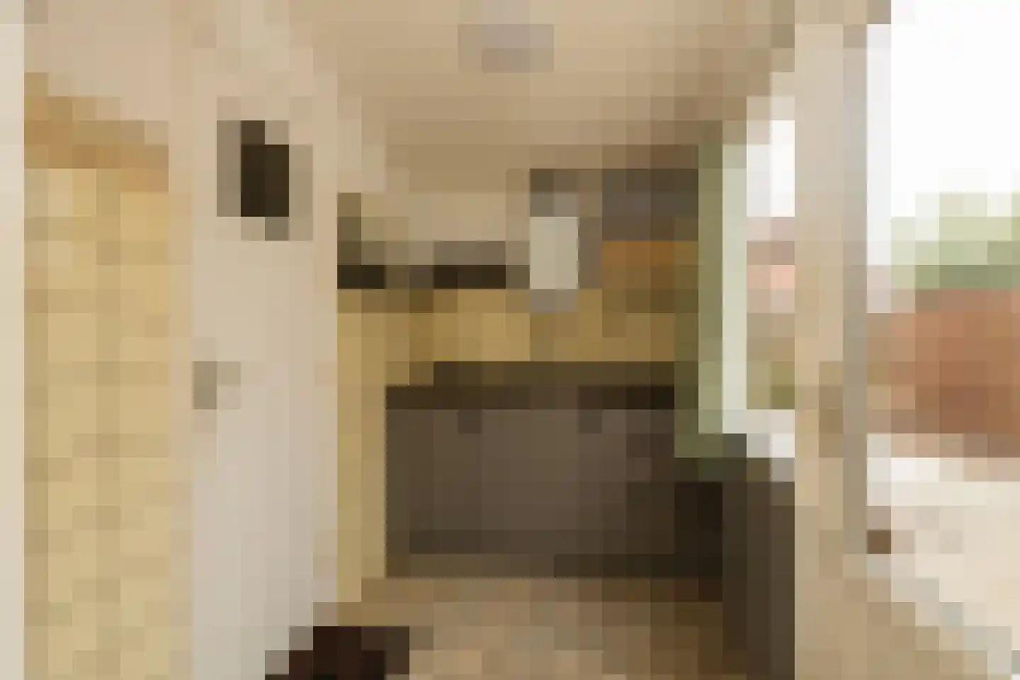 Bosstraat 19 Ridderkerk thumbnail 16