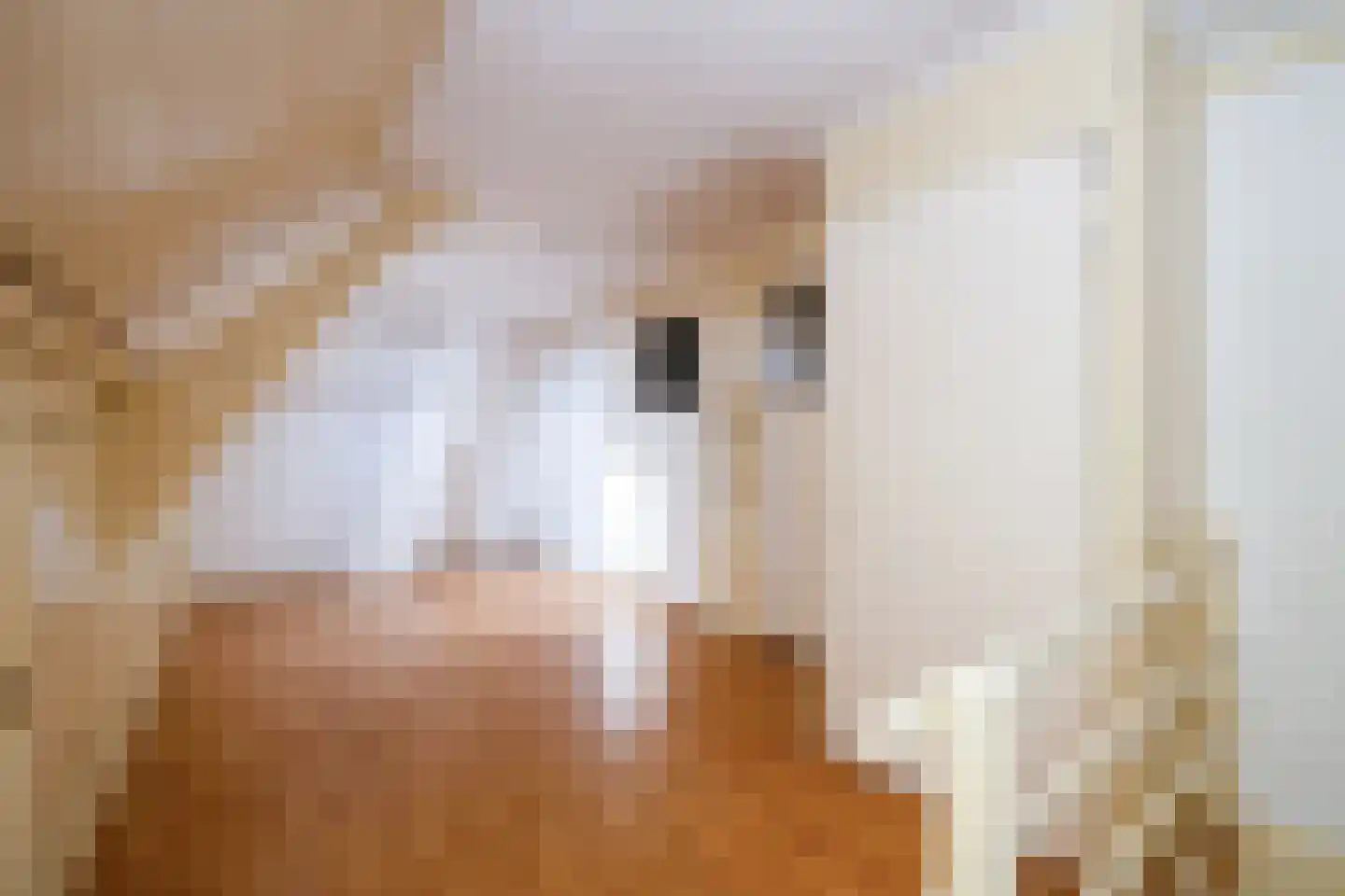 Bosstraat 19 Ridderkerk thumbnail 21