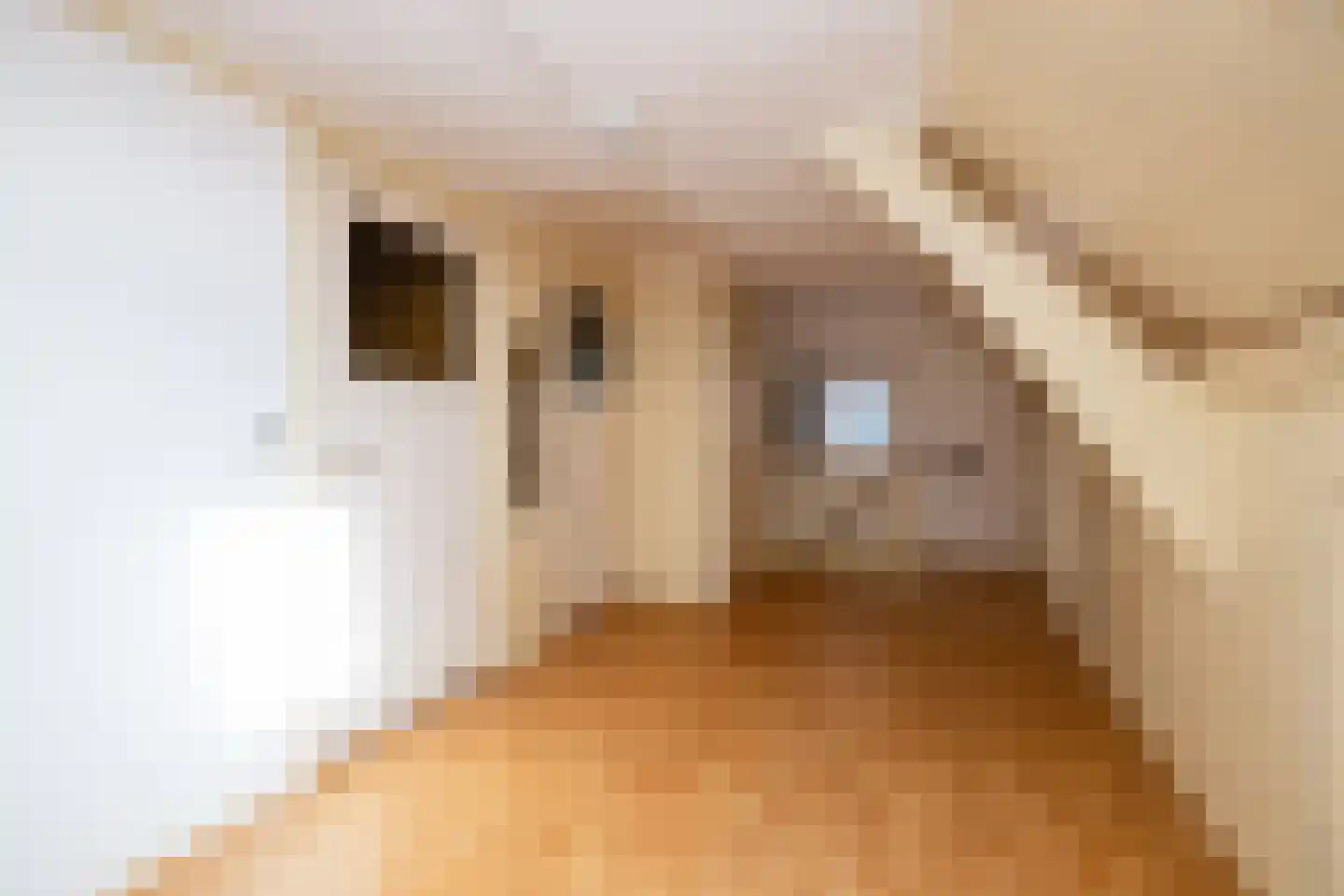 Bosstraat 19 Ridderkerk thumbnail 22