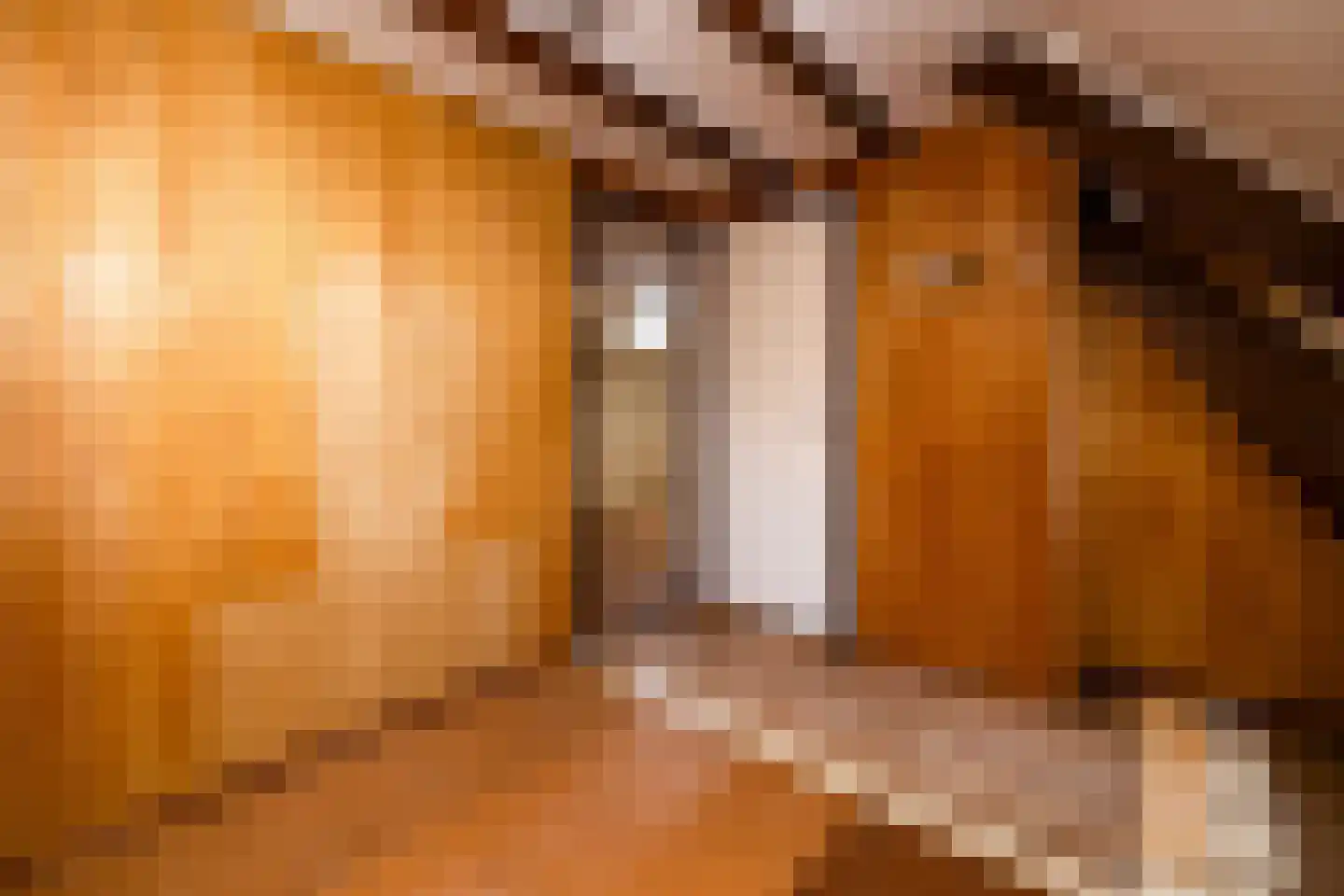 Bosstraat 19 Ridderkerk thumbnail 29