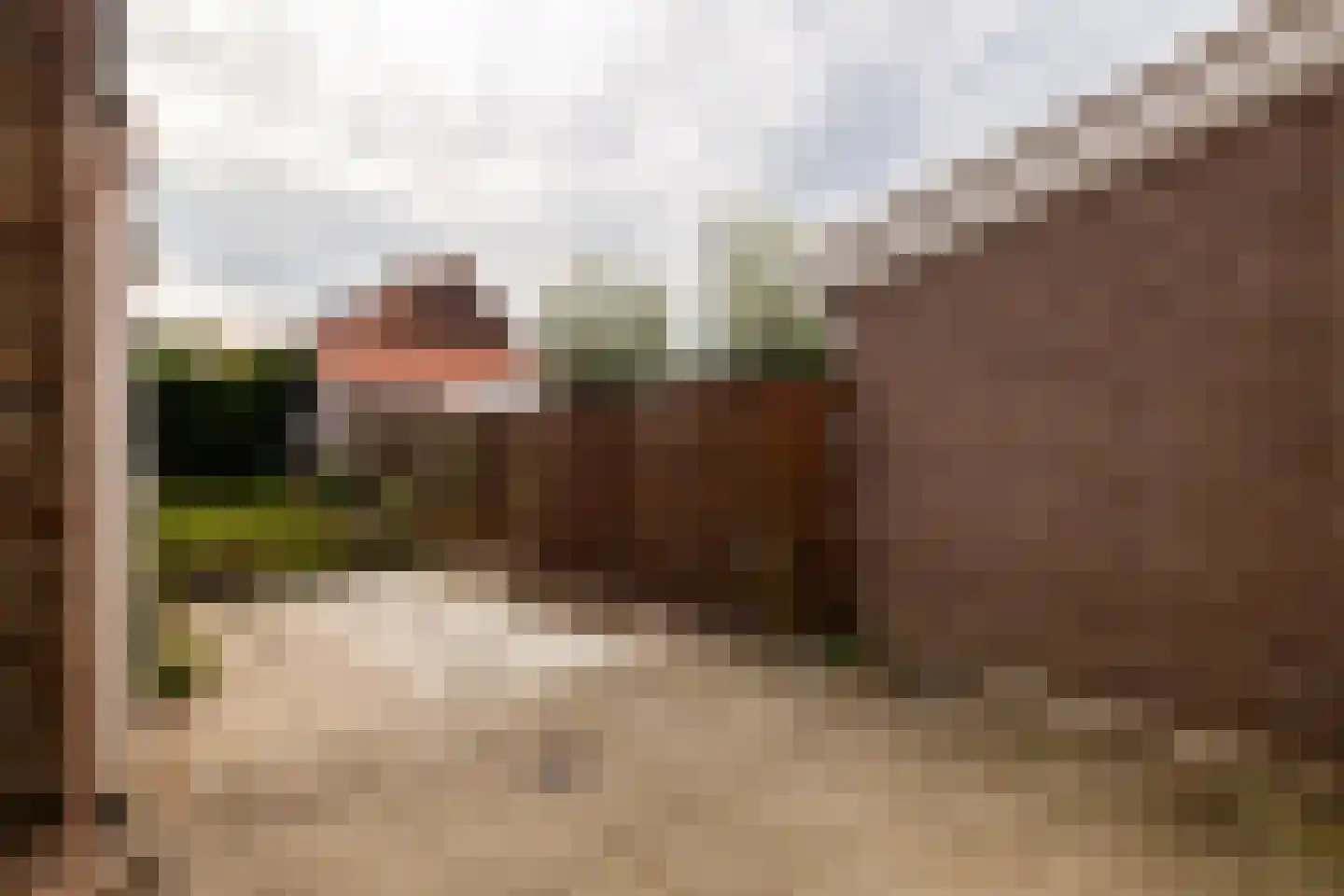 Bosstraat 19 Ridderkerk thumbnail 33