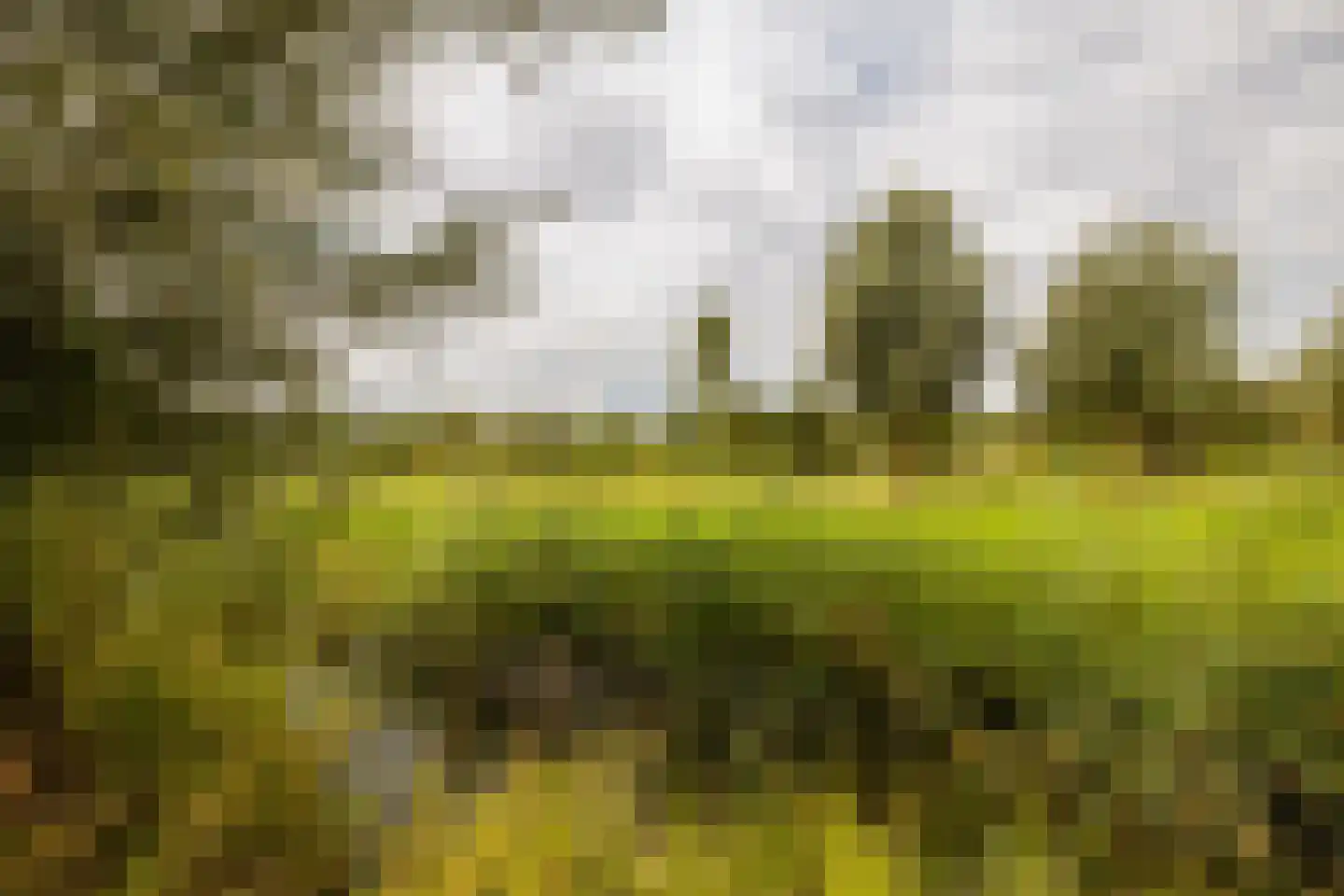 Bosstraat 19 Ridderkerk thumbnail 39