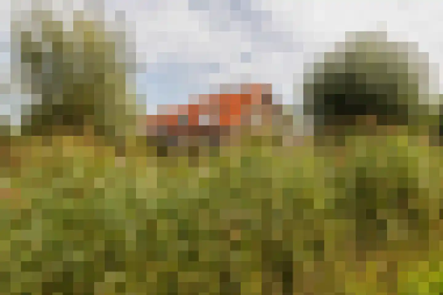Bosstraat 19 Ridderkerk thumbnail 4