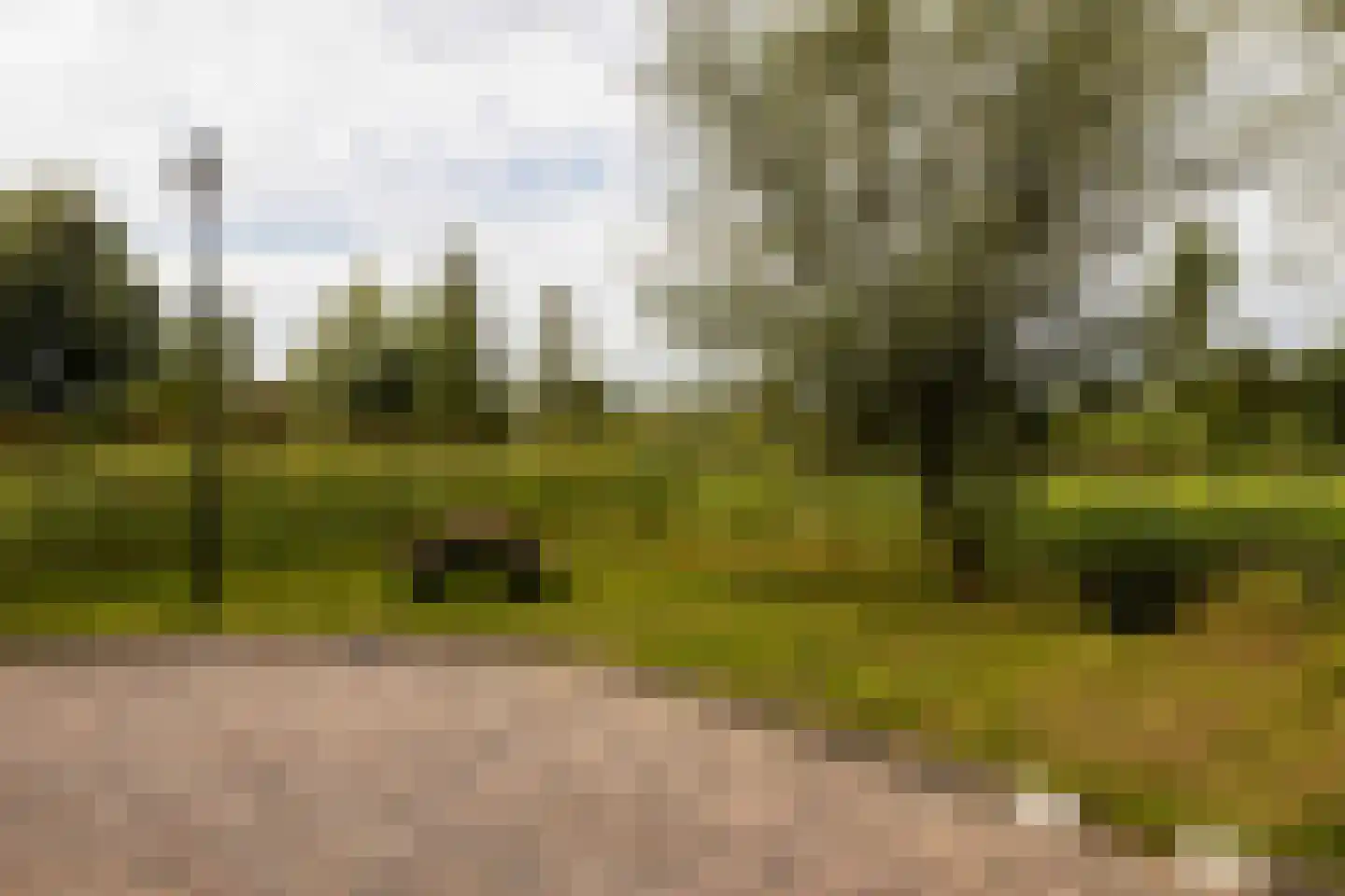 Bosstraat 19 Ridderkerk thumbnail 40