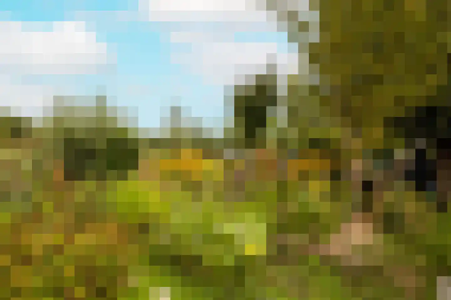 Bosstraat 19 Ridderkerk thumbnail 41