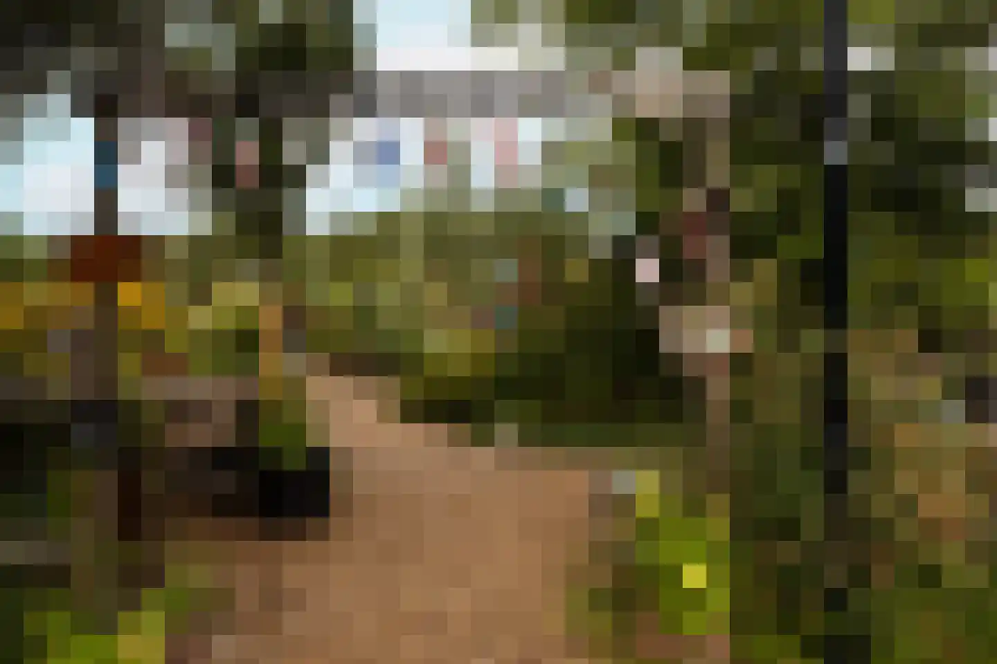 Bosstraat 19 Ridderkerk thumbnail 42