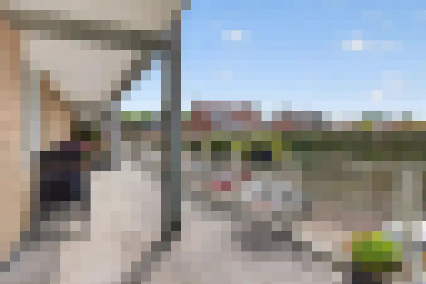 Bosstraat 2 E Valkenswaard thumbnail 16
