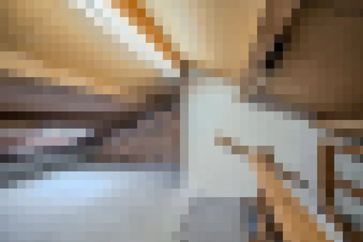 Bosstraat 2 Susteren thumbnail 16