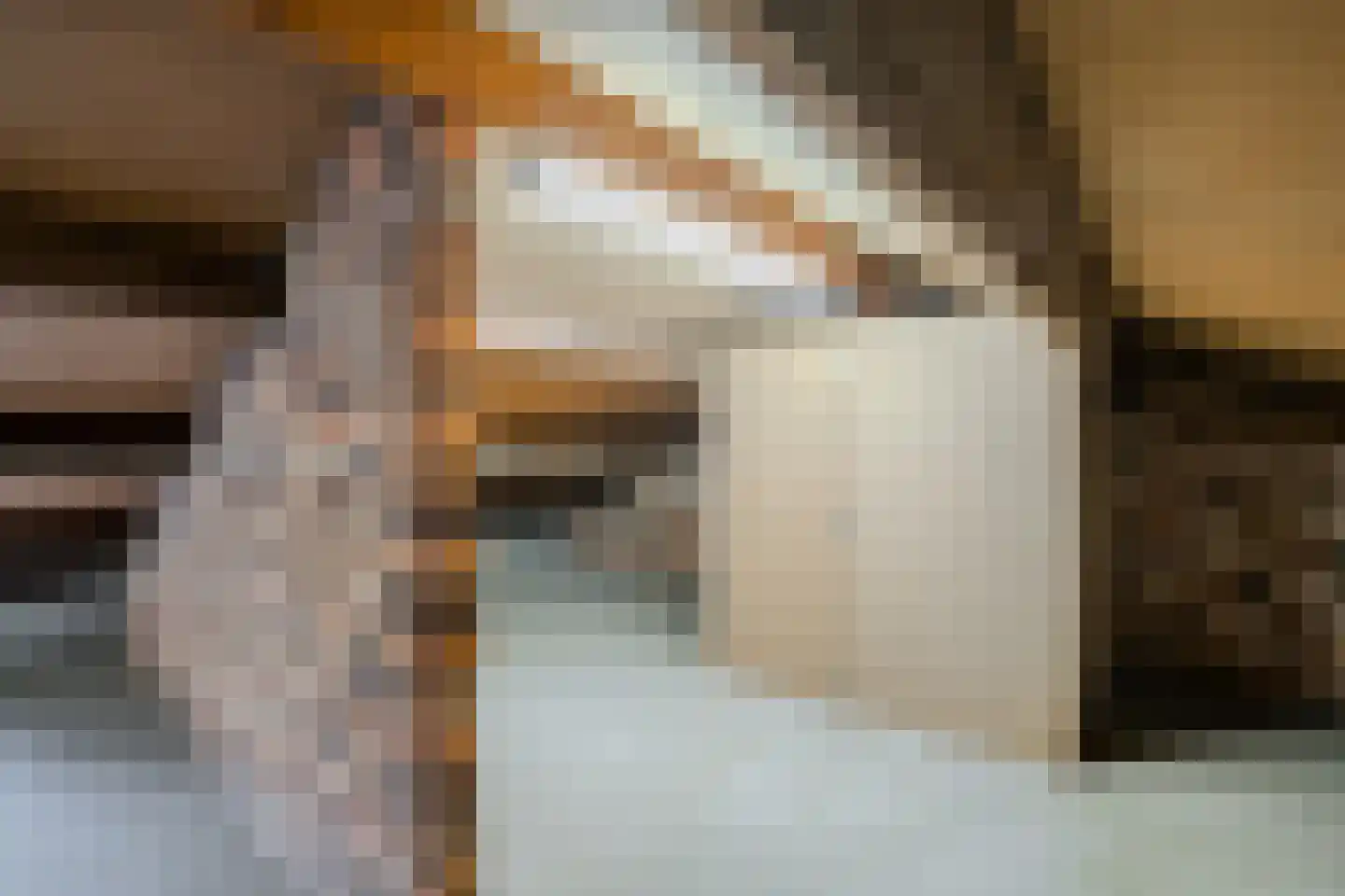 Bosstraat 2 Susteren thumbnail 17