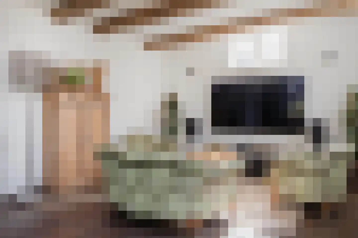 Bosstraat 2 Winkel thumbnail 10