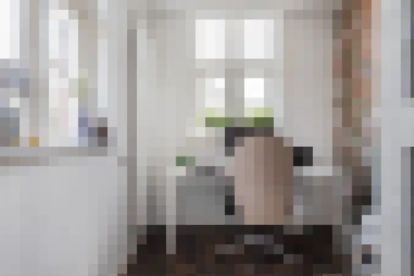 Bosstraat 2 Winkel thumbnail 11
