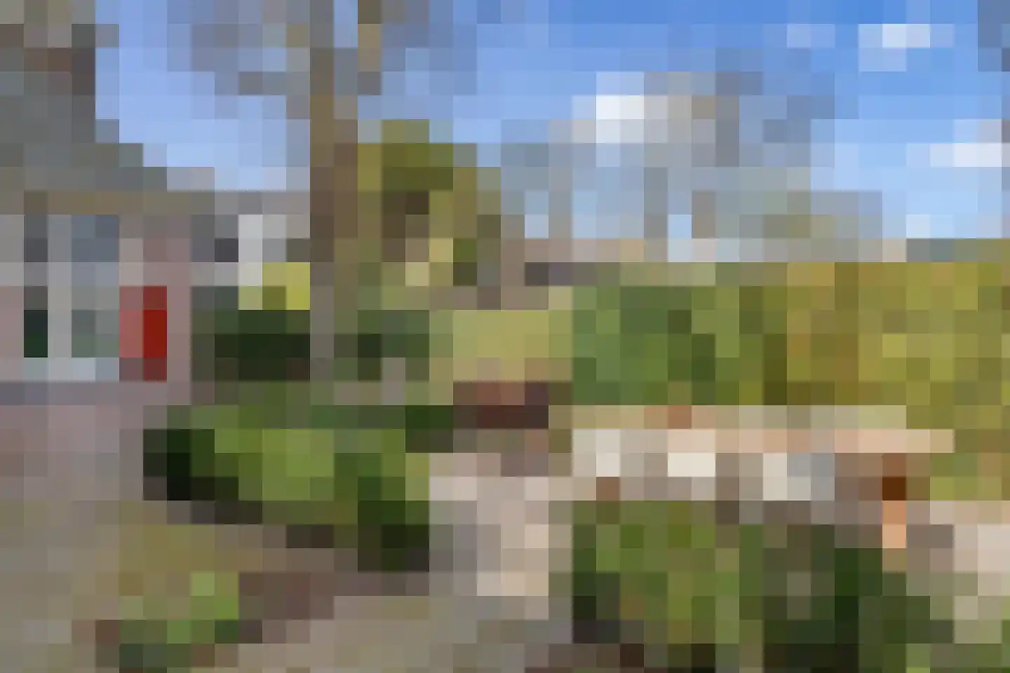 Bosstraat 2 Winkel thumbnail 24