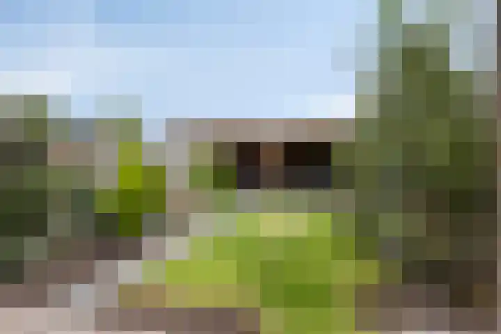 Bosstraat 24 Baarn thumbnail 35