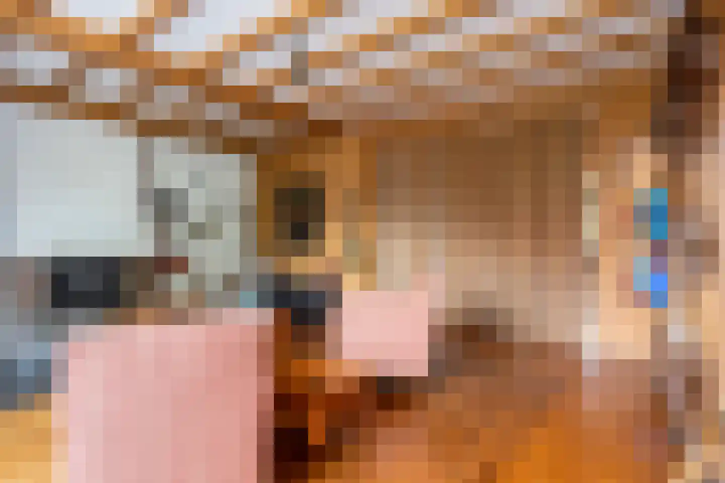 Bosstraat 24 Swalmen thumbnail 12