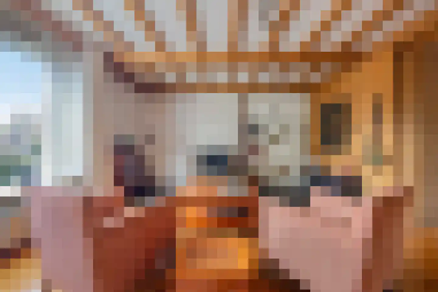 Bosstraat 24 Swalmen thumbnail 13