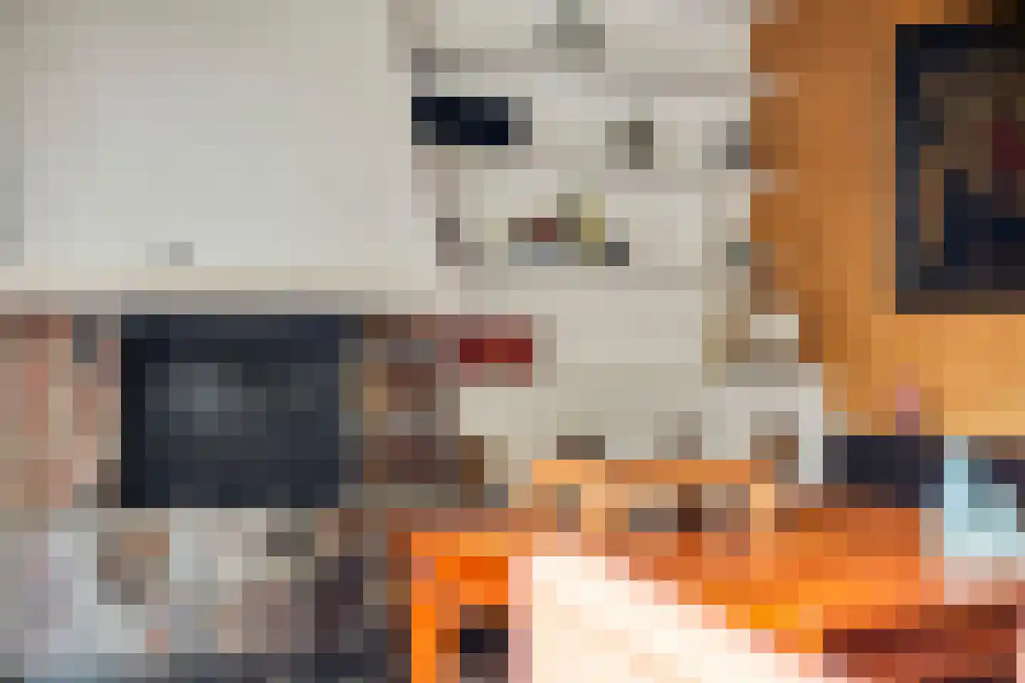 Bosstraat 24 Swalmen thumbnail 15