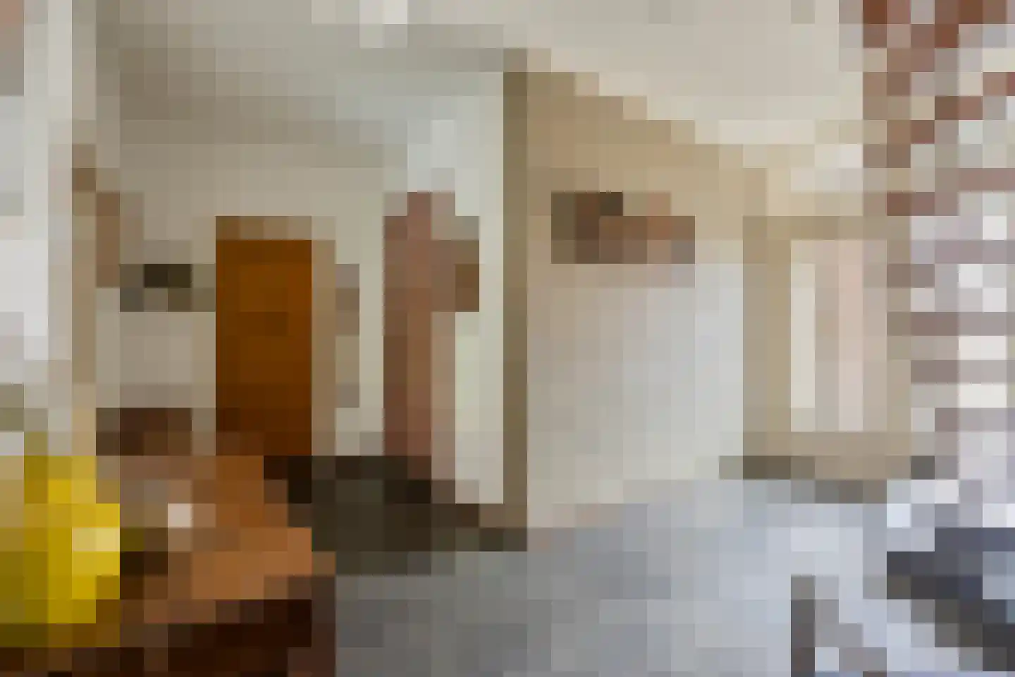 Bosstraat 24 Swalmen thumbnail 25