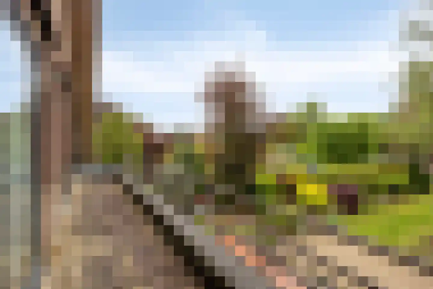 Bosstraat 24 Swalmen thumbnail 37