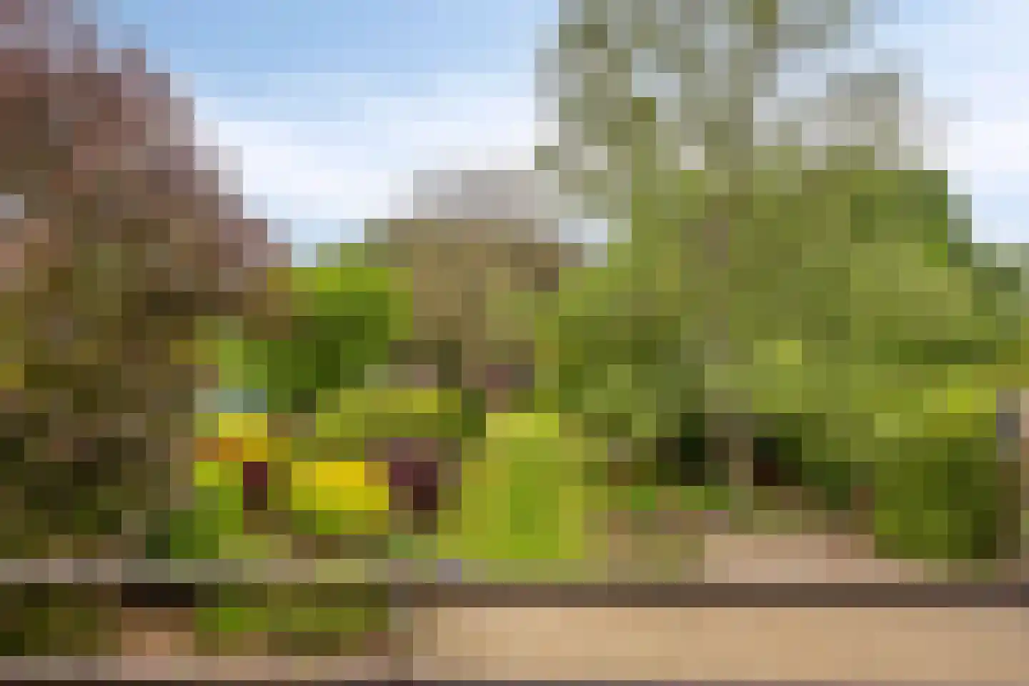 Bosstraat 24 Swalmen thumbnail 38