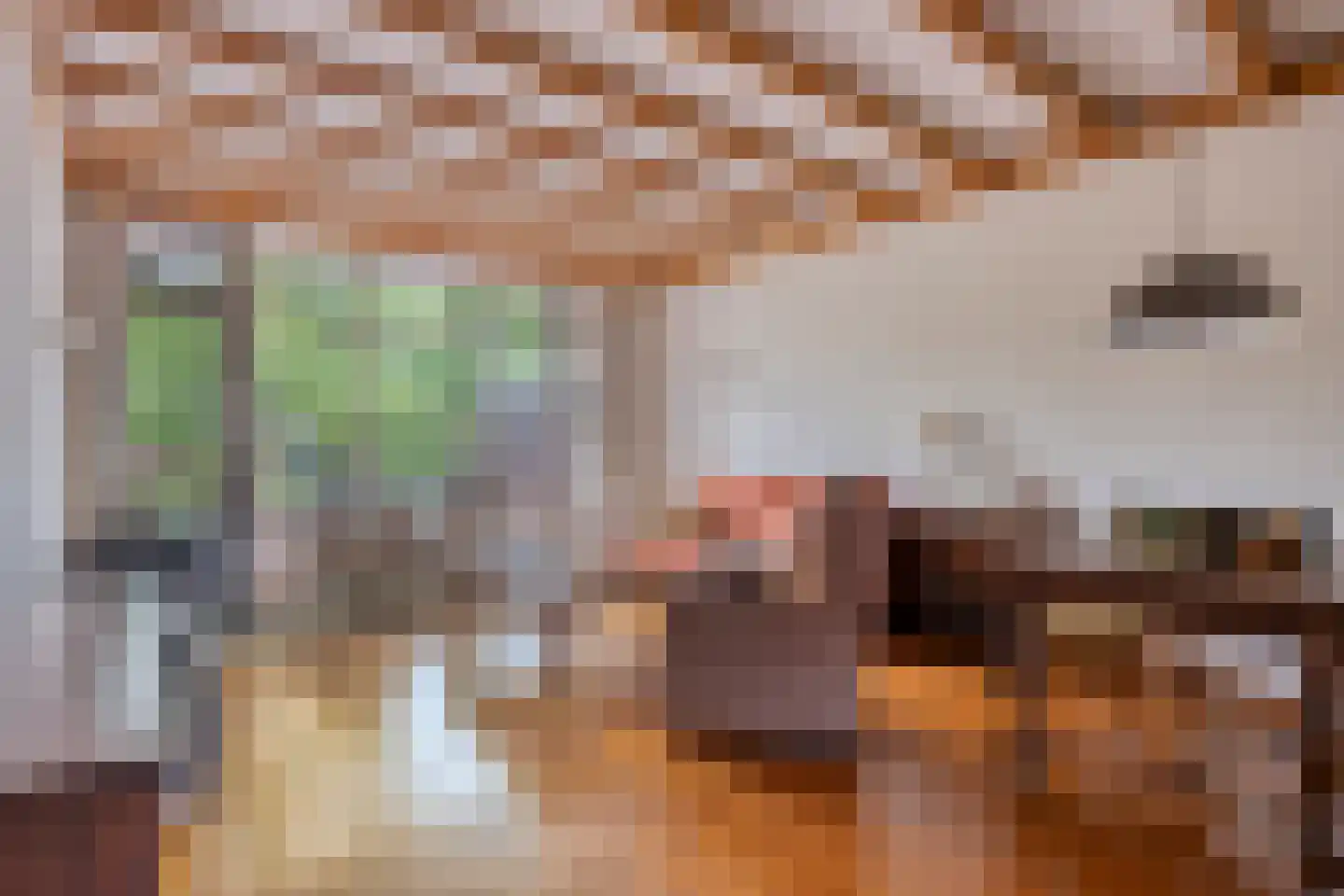 Bosstraat 24 Swalmen thumbnail 5