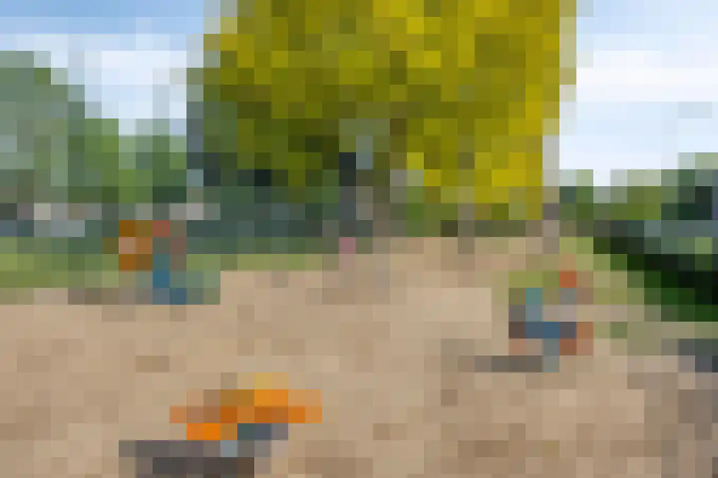 Bosstraat 24 Swalmen thumbnail 55