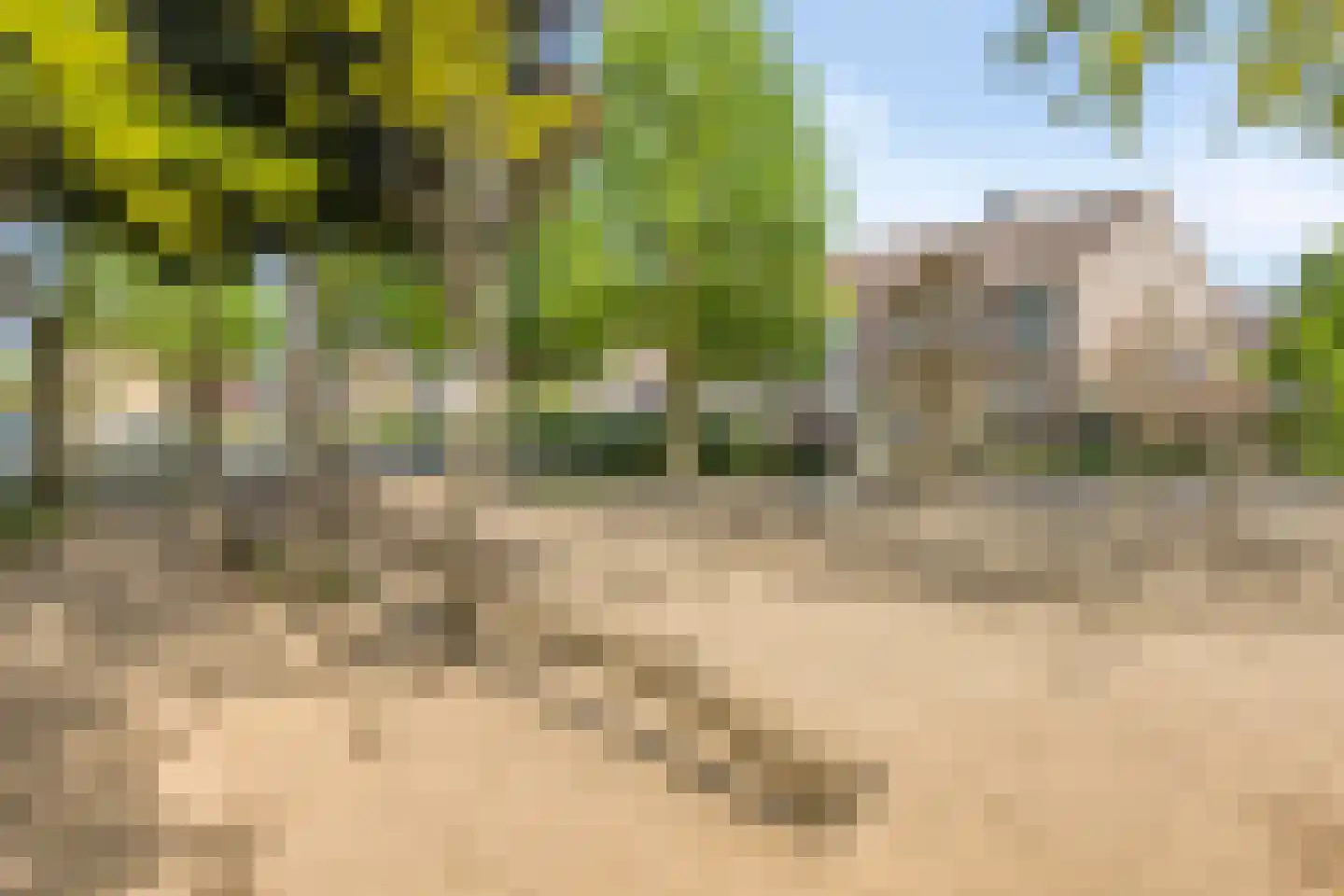 Bosstraat 24 Swalmen thumbnail 56