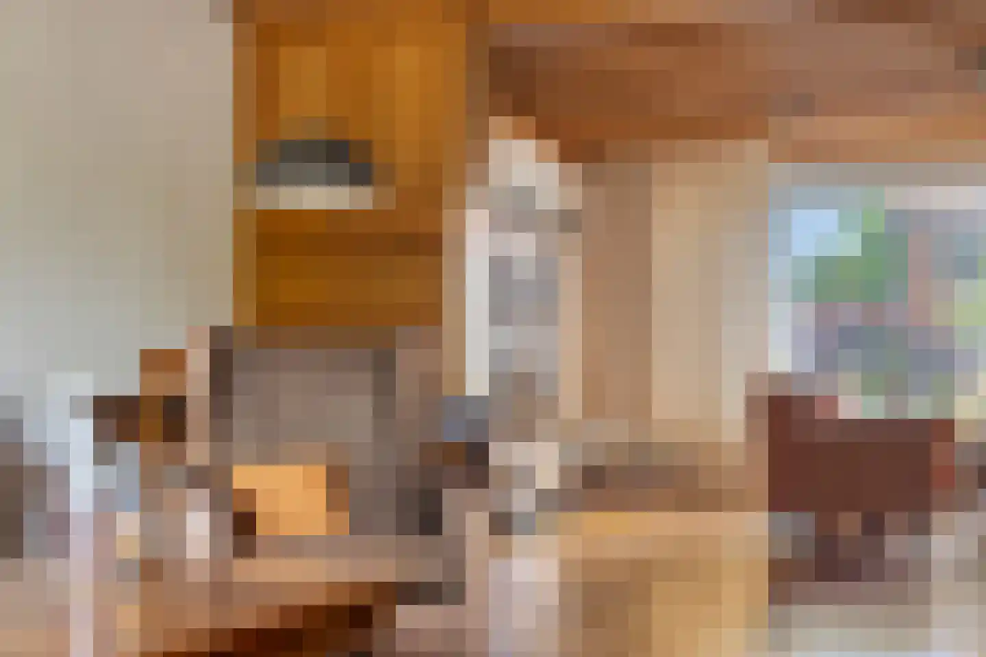 Bosstraat 24 Swalmen thumbnail 8