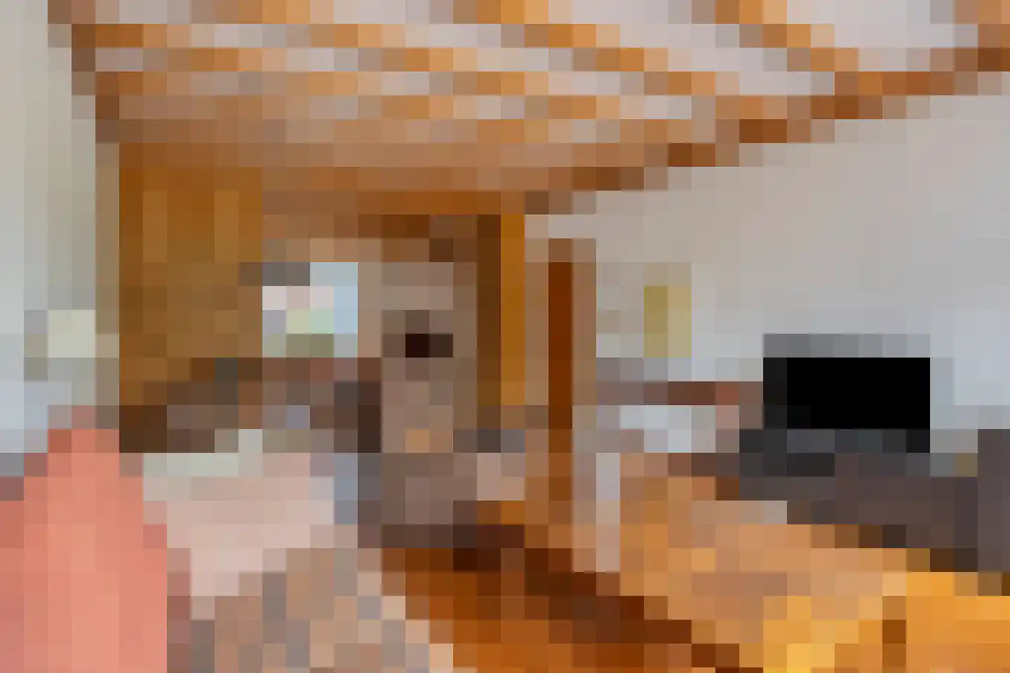 Bosstraat 24 Swalmen thumbnail 9