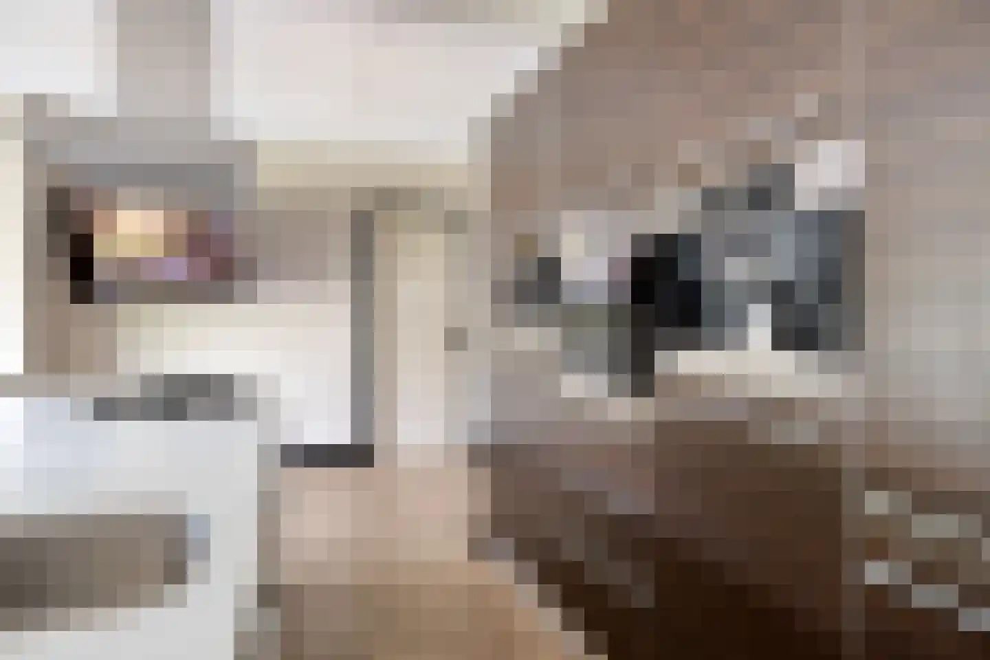 Bosstraat 24 Tholen thumbnail 15