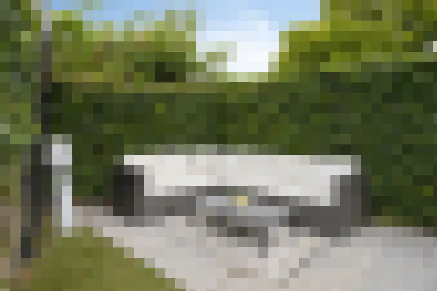 Bosstraat 24 Tholen thumbnail 25