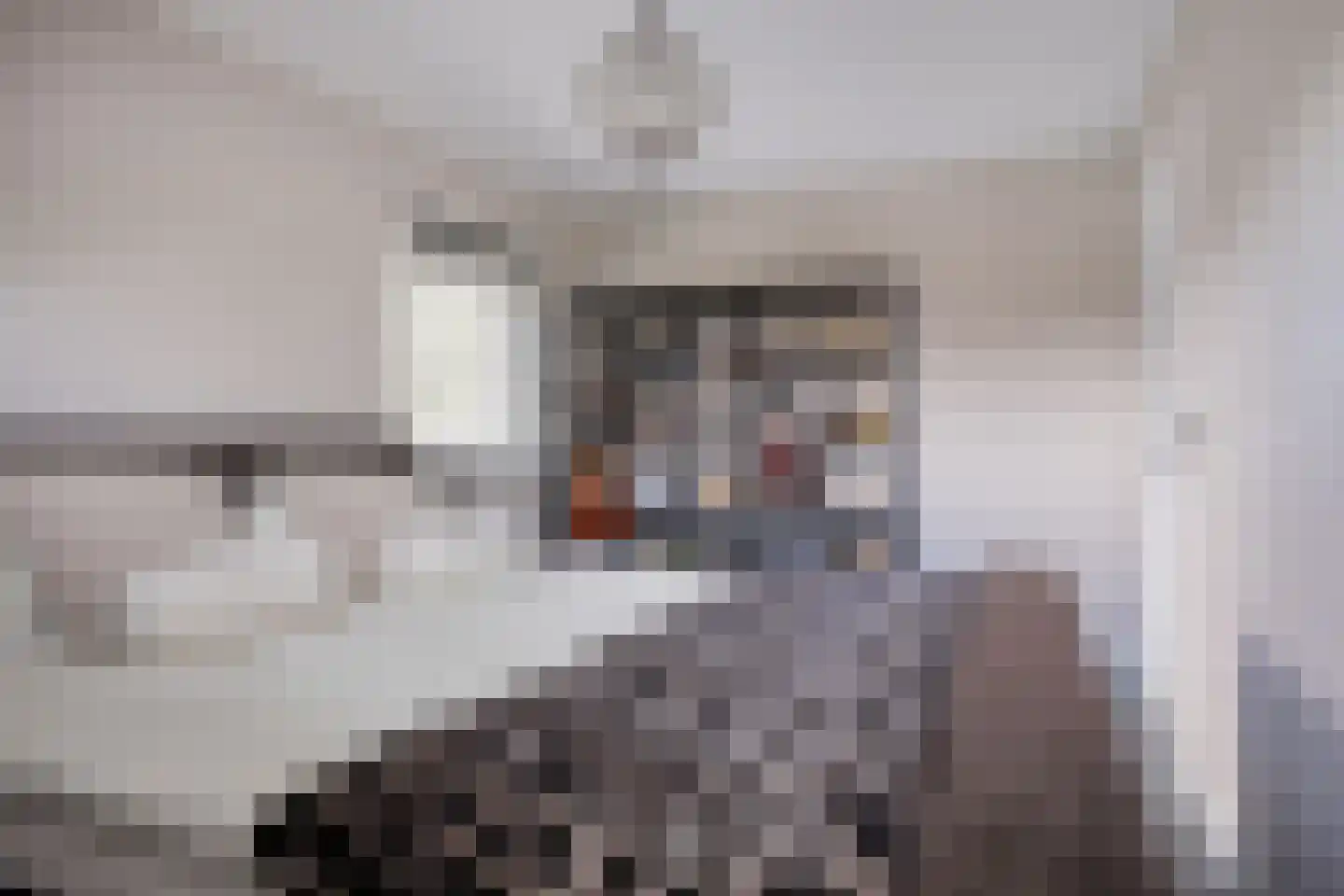 Bosstraat 24 Tholen thumbnail 30