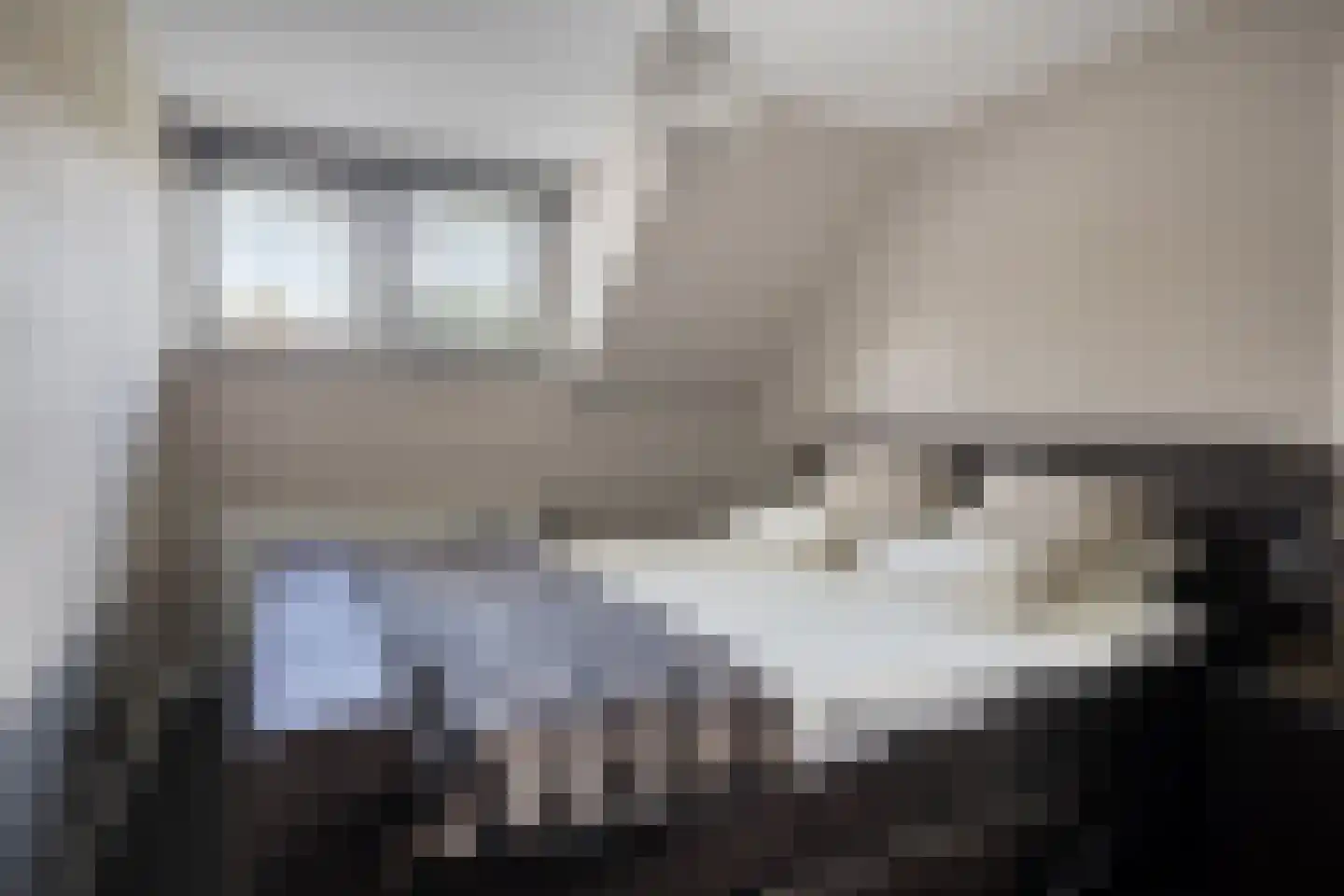 Bosstraat 24 Tholen thumbnail 31