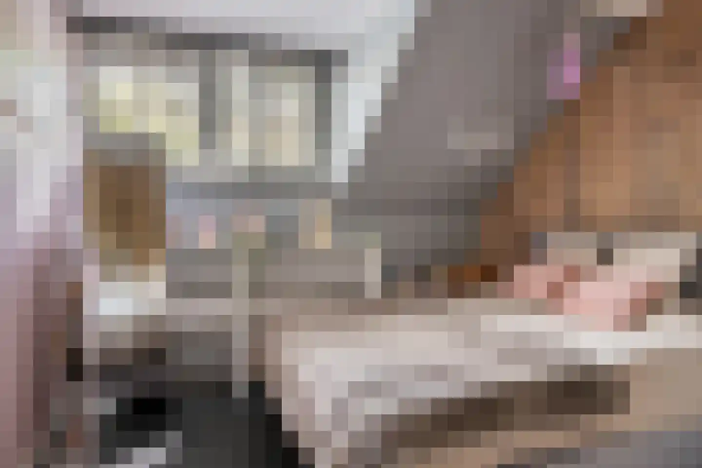 Bosstraat 24 Tholen thumbnail 36