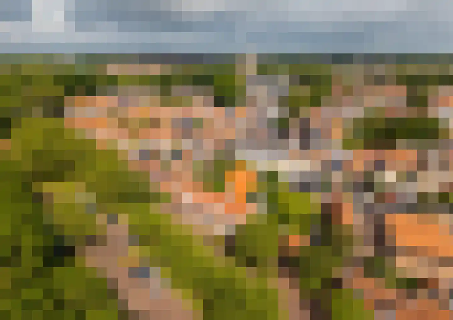 Bosstraat 24 Tholen thumbnail 47