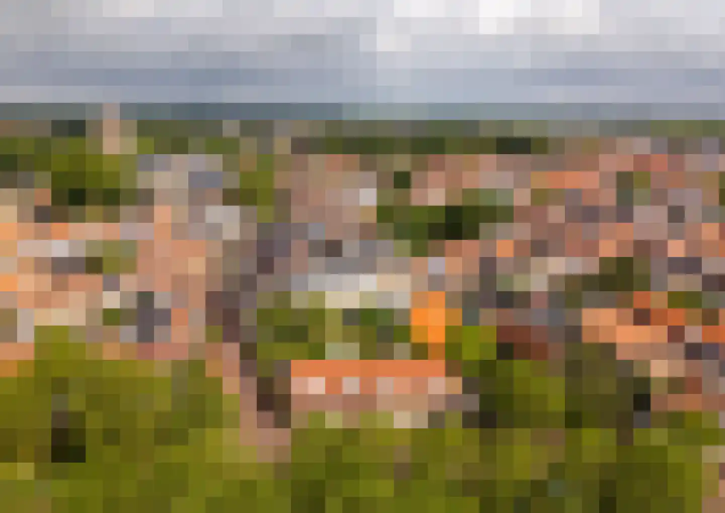 Bosstraat 24 Tholen thumbnail 48