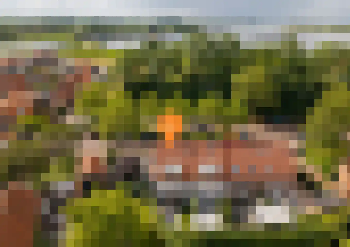 Bosstraat 24 Tholen thumbnail 51