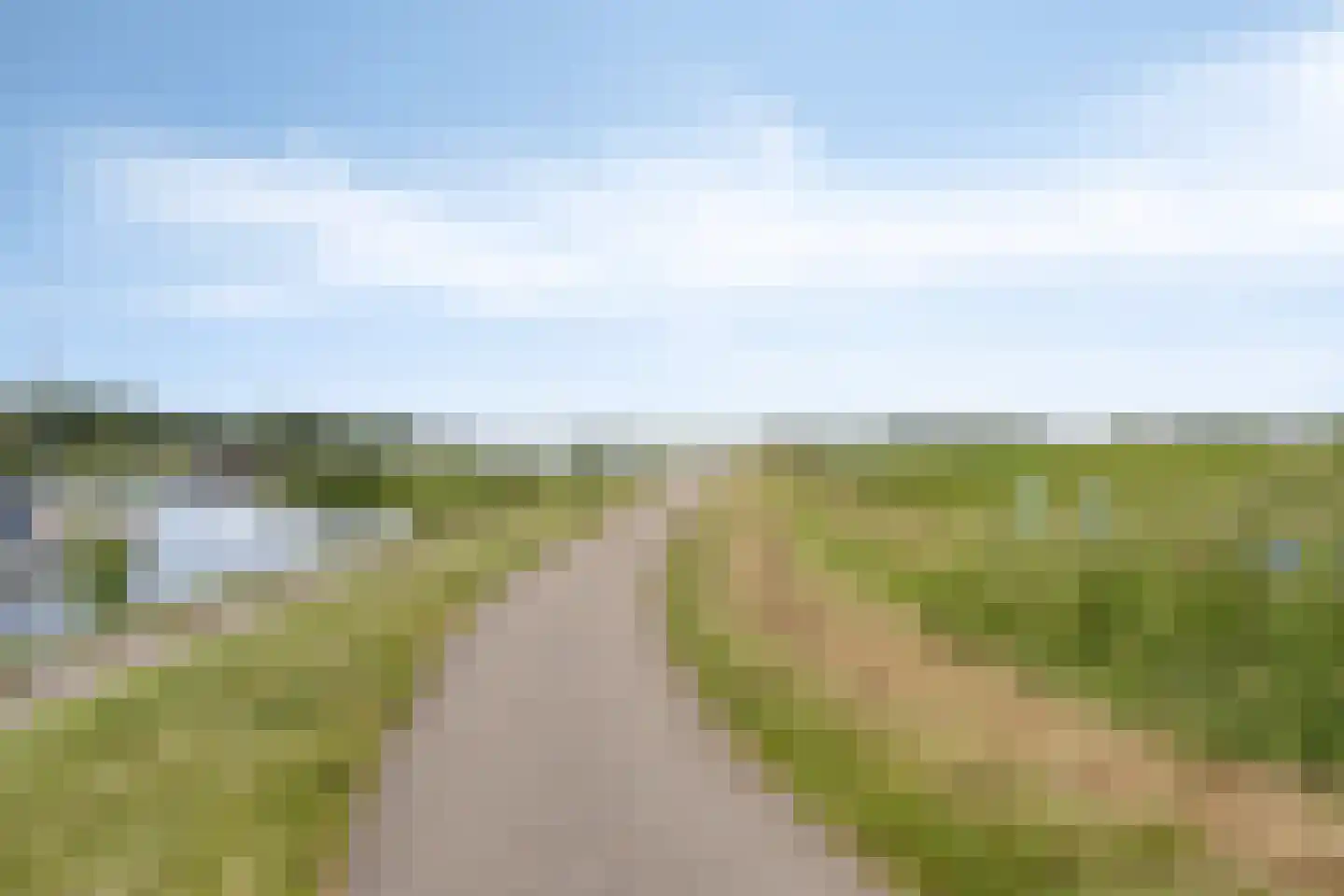 Bosstraat 24 Tholen thumbnail 52