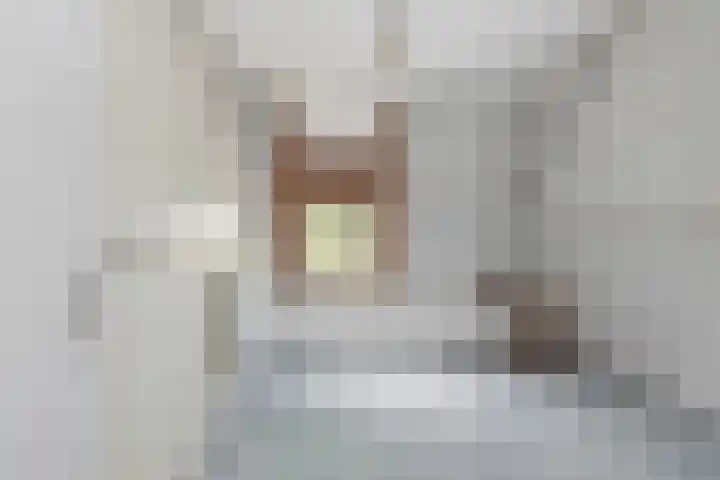 Bosstraat 26 Winkel thumbnail 22