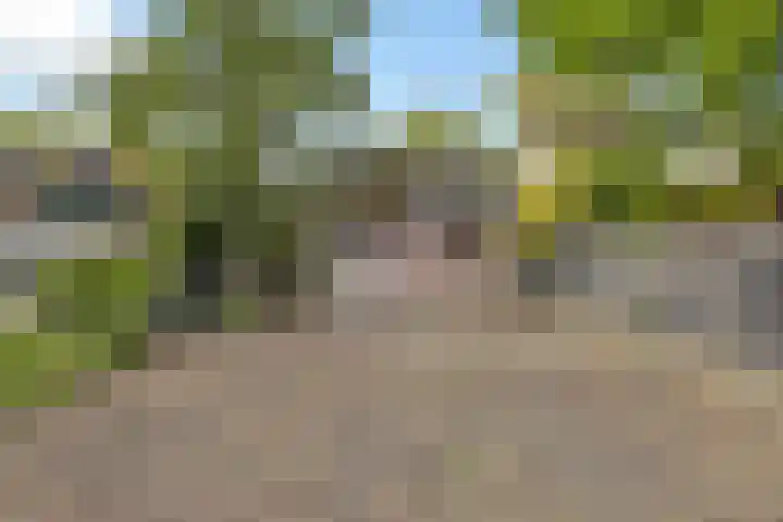 Bosstraat 26 Winkel thumbnail 40
