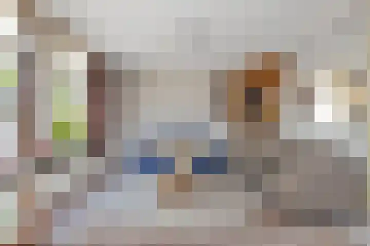 Bosstraat 26 Winkel thumbnail 8