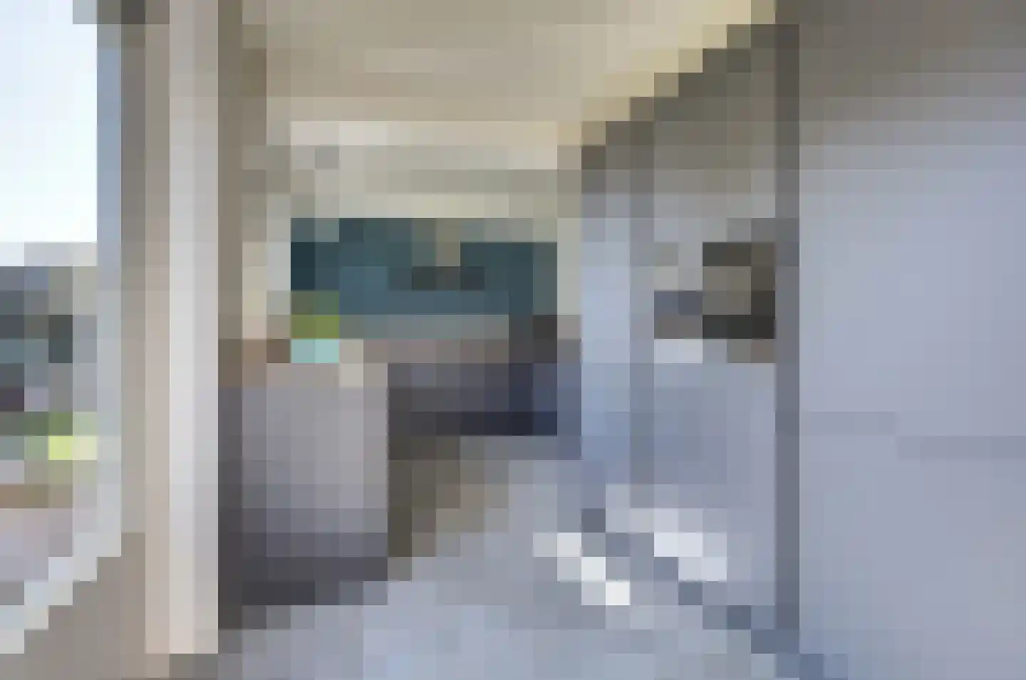 Bosstraat 27 Didam thumbnail 15