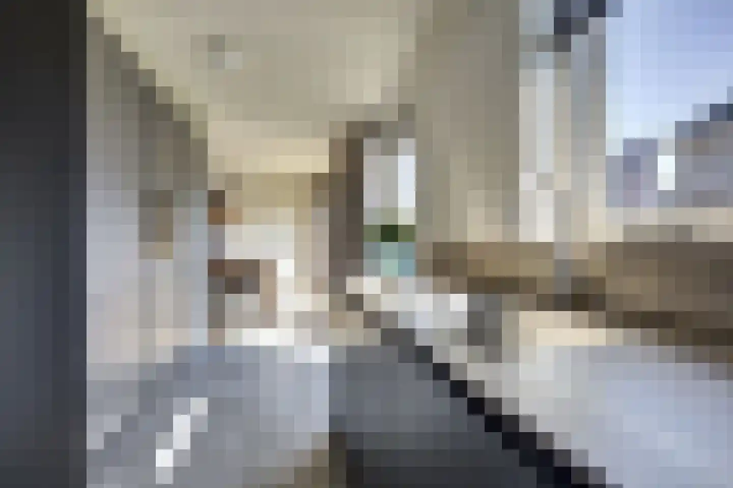 Bosstraat 27 Didam thumbnail 17