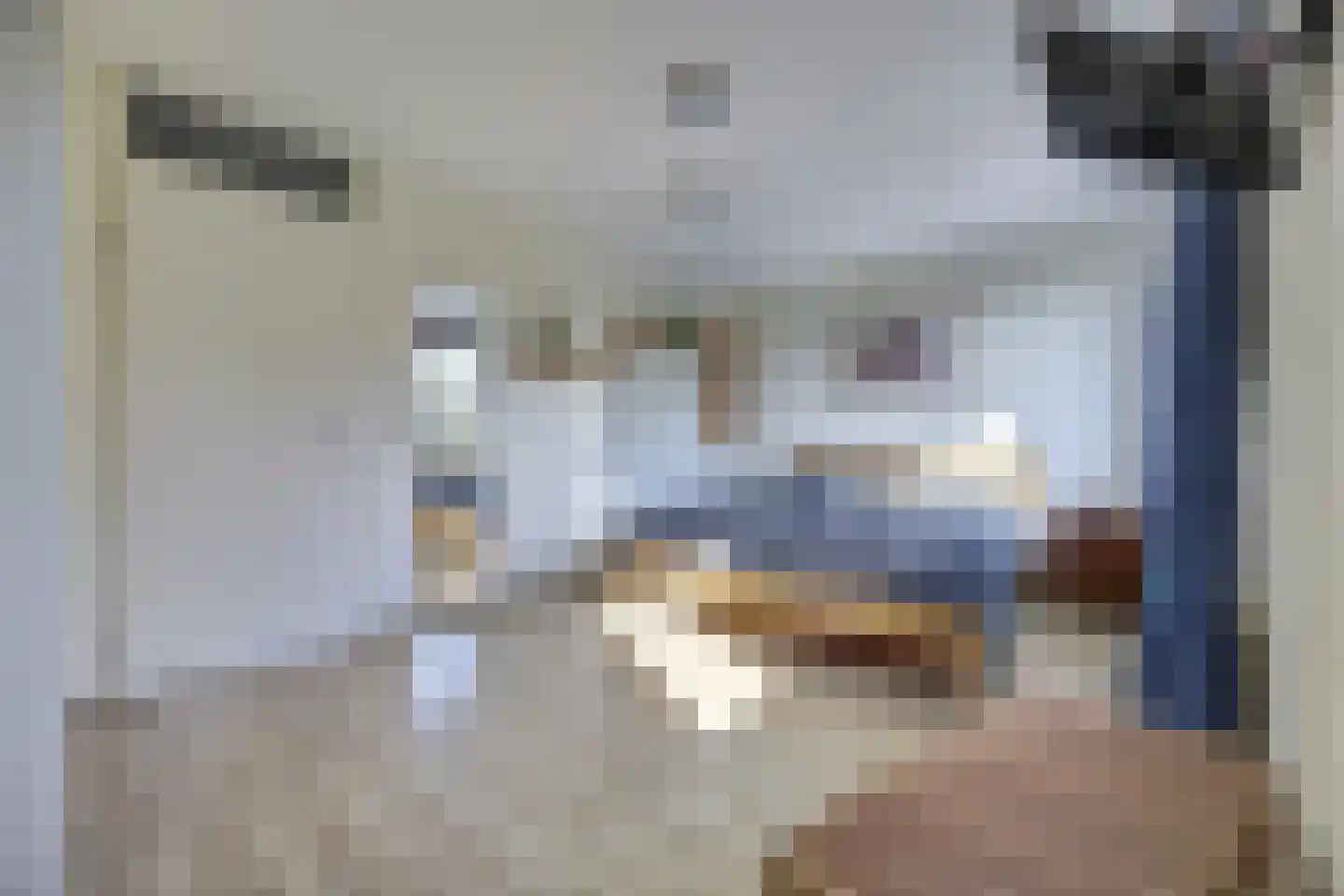 Bosstraat 27 Didam thumbnail 22