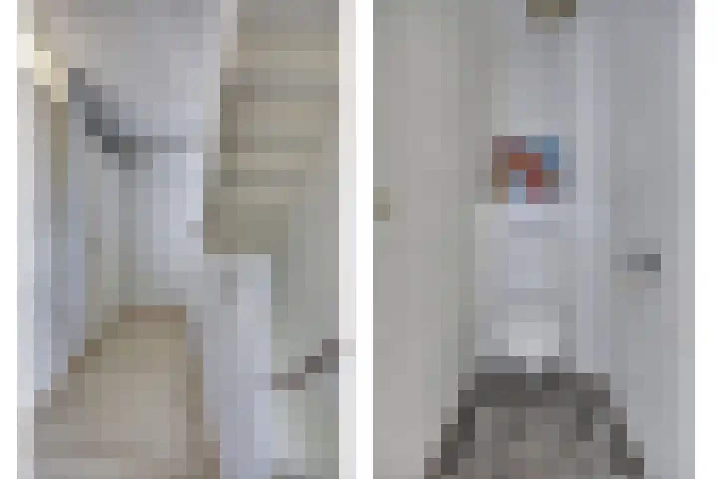 Bosstraat 27 Didam thumbnail 25