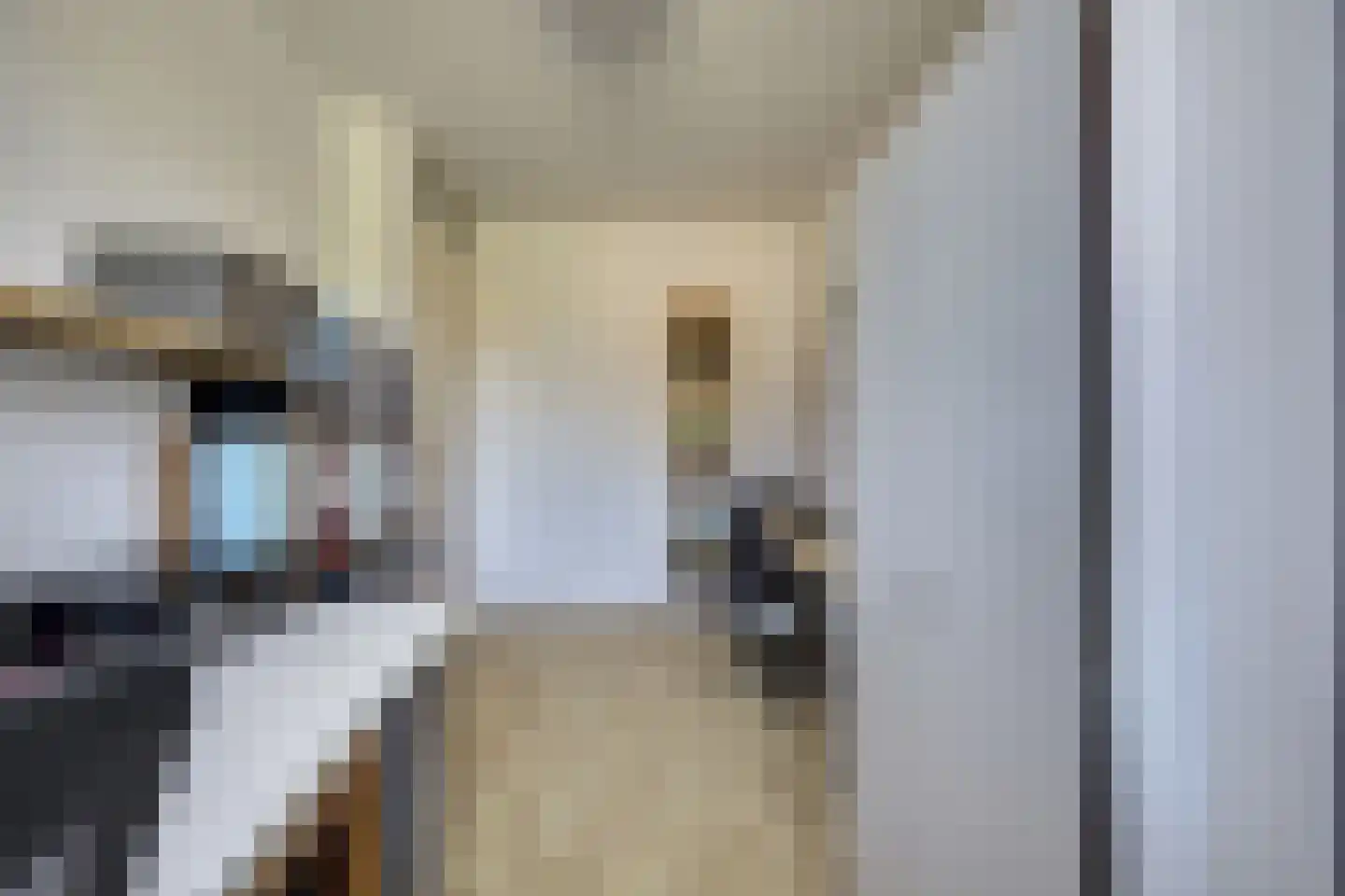 Bosstraat 27 Didam thumbnail 28